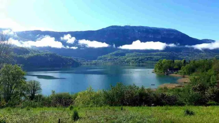 Vue panoramique